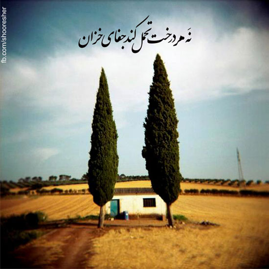 شعرگرافی های بسیار زیبا و اینستاگرامی 94