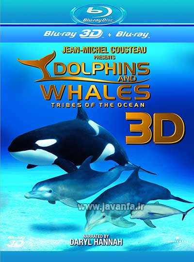مستند سه بعدی آیمکس دلفین ها و وال ها