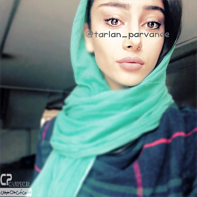 tarlan-parvane-newpic2